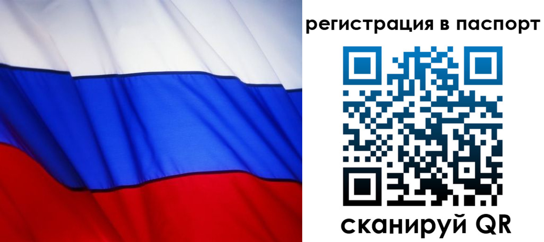 прописка 2025 в Выборге